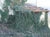 cossano_before005